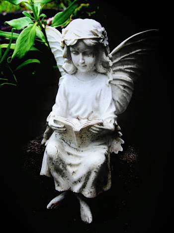 melodi2_a_faerie_angel_reads.jpg
