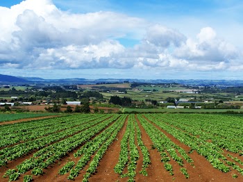melodi2_ruralview_100_5315.jpg
