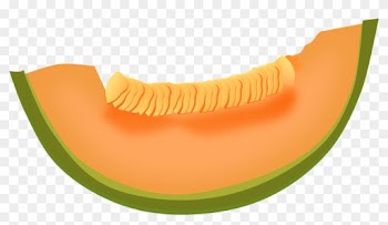 Melon Clipart Transparent Food - Cantaloupe Clipart