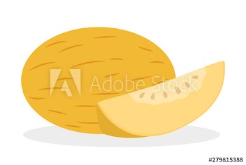 Melon fruit