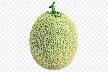 melon galia muskmelon cantaloupe cucumber, gourd, and melon family