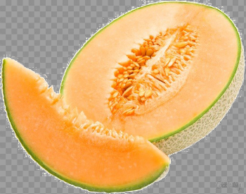 Melon PNG Image Background