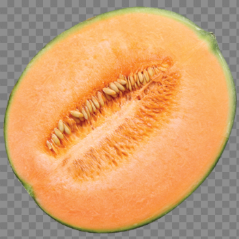 Melon PNG Picture