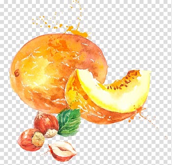 Melon Watercolor painting Cantaloupe, melon transparent background PNG clipart