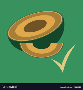 Melon whole and pieces sweet fruit flat icon vector image
