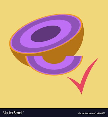 Melon whole and pieces sweet fruit flat icon vector image