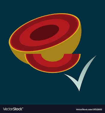 Melon whole and pieces sweet fruit flat icon vector image