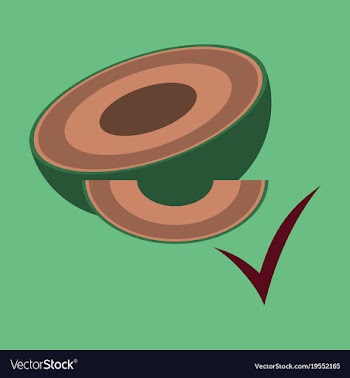 Melon whole and pieces sweet fruit flat icon vector image