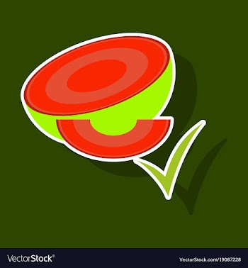 Melon whole and pieces sweet fruit sticker icon vector image