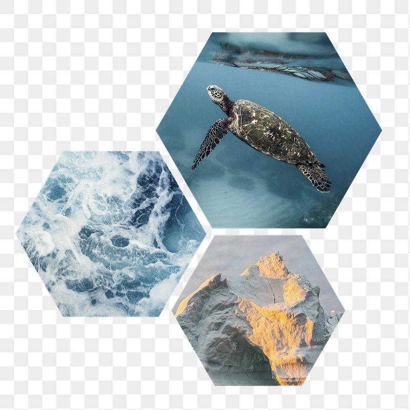 Melting ocean png badge sticker, | Free PNG - rawpixel