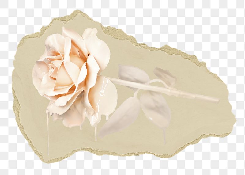 Melting rose png flower ripped | Free PNG - rawpixel