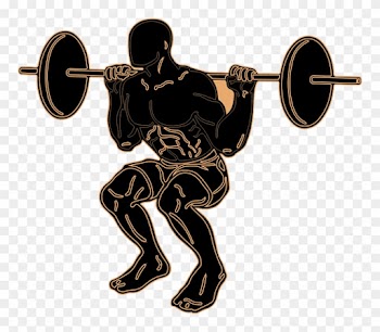 Members Of The Texas City Girls Powerlifting Team Competed - Silhouette Of People Gymimg