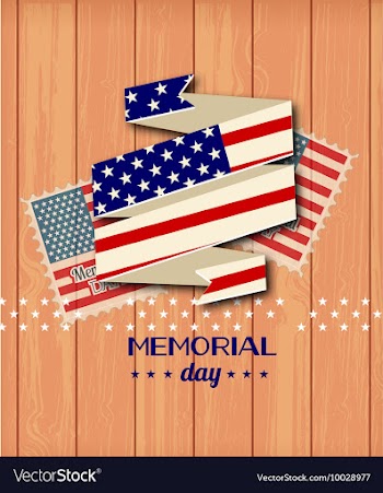 Memorial day vector image