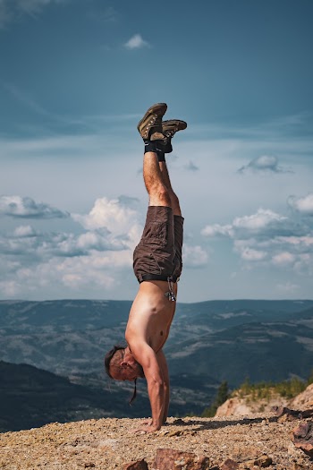 Men's Brown Shorts