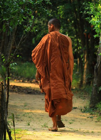 Men's Brown Top Near Trees