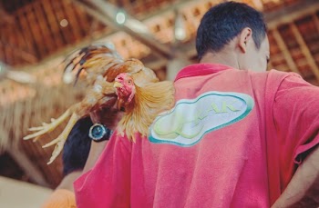 Men's Red Top and Brown Rooster