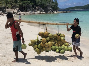 Men Carrying Coconuts