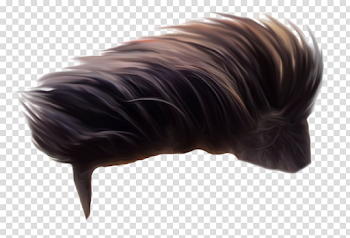 Men Hair PNG Image