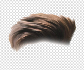 Men Hair PNG Photo