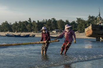 Men Pulling Bamboo on Water
