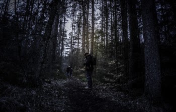Men Standing Beside Tall Trees