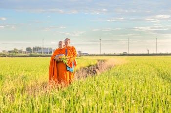 Men Standing on Grass Field