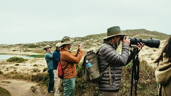 Men Using Camera