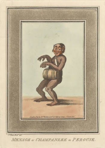 Menage as Champanzee in Perouse | Free Photo - rawpixel
