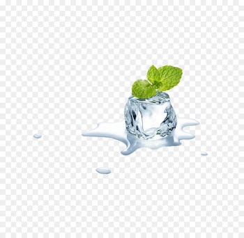 Mentha spicata Electronic cigarette aerosol and liquid Ice Menthol - Mint leaves and ice cubes 