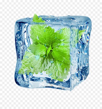 Menthol Peppermint Flavor Electronic cigarette aerosol and liquid - Iced mint leaves 