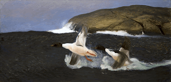 Mergansers (1901) painting in high | Free Photo - rawpixel