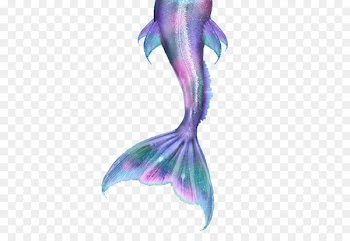 Mermaid Ariel Merliah Summers Drawing Tail - mermaid tail 