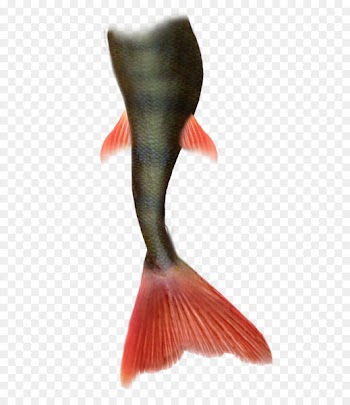Mermaid Clip art - Mermaid Tail Png Pic 