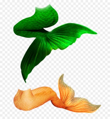 Mermaid Drawing Clip art - Mermaid's tail 