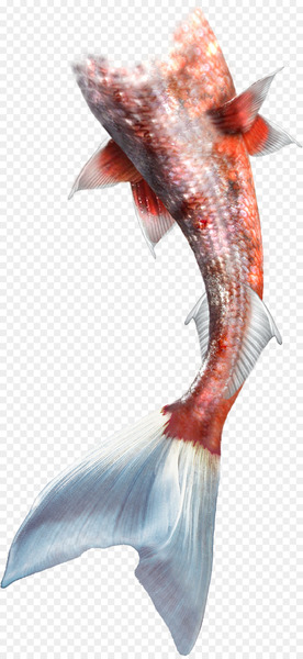 Mermaid Rusalka Clip art - Mermaid 