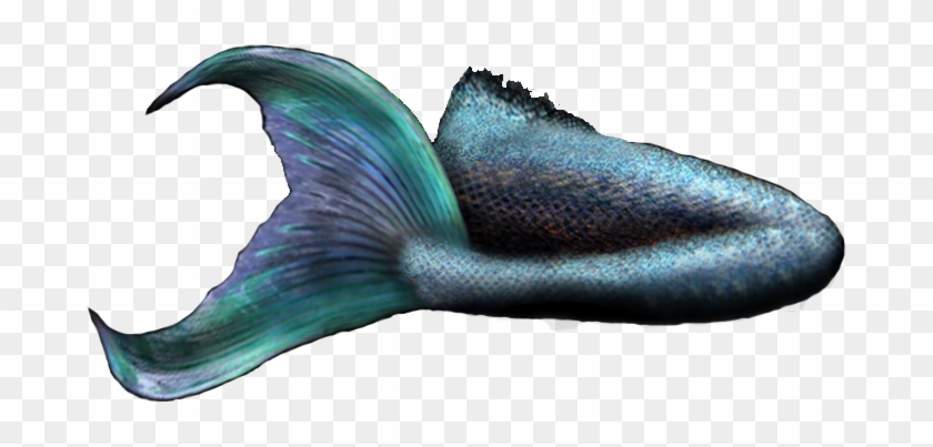 Mermaid Tail 2 Officialpsds - Real Mermaid Tail Png