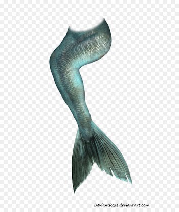 Mermaid Tail Clip art - Marine fish tail 