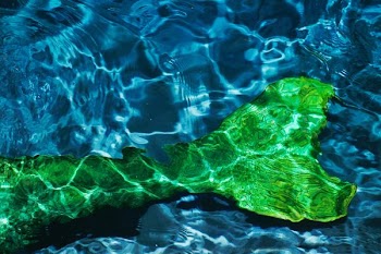 mermaid tail costume on body of water