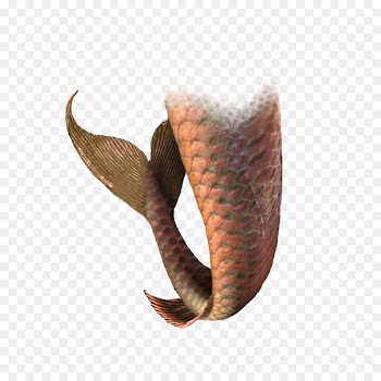 Mermaid Tail - Creative brown mermaid tail 