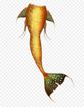 Mermaid Tail DeviantArt Legendary creature - mermaid tails 