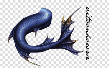 Mermaid Tail Download Png