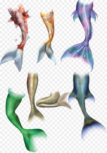 Mermaid Tail Drawing - Mermaid 