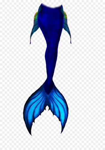Mermaid Tail Drawing Sketch - mermaid tail 