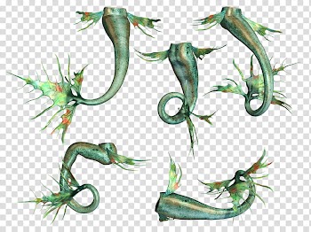 Mermaid Tail, green animal illustration transparent background PNG clipart