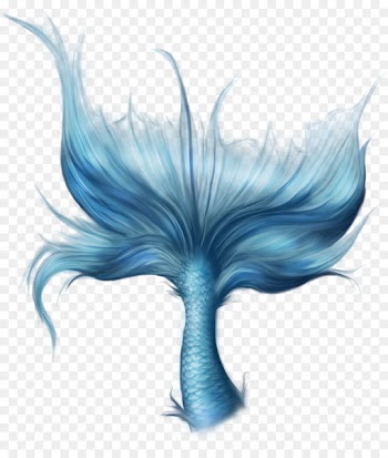 Mermaid Tail - Mermaid tail 