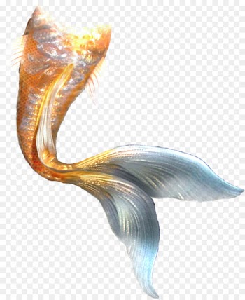 Mermaid Tail - Mermaid tail 