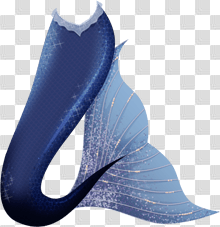 Mermaid Tail Png