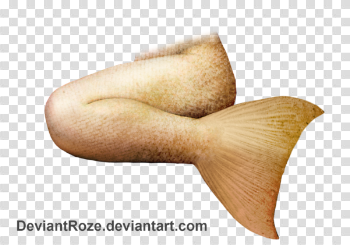 Mermaid Tail Png File