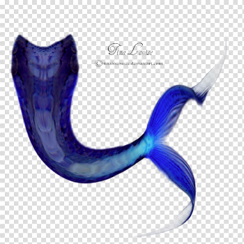 Mermaid Tail Png Image