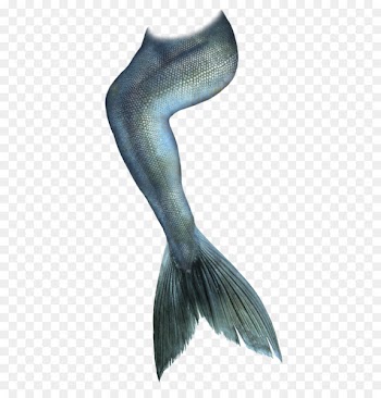 Mermaiding Tail Drawing - Fish tail 